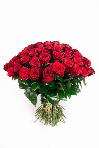 50 róż czerwonych