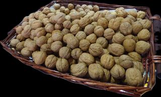 Noci in guscio 100 g