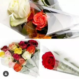 1 Rose 