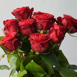 3rose rosse