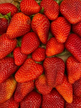 Fresas 1/2 Kg