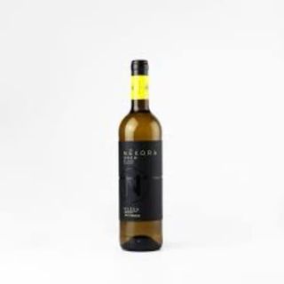 Vino Blanco Nekora Rueda 2020