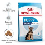 Royal Canin Puppy Maxi pienso para perros   4 kg