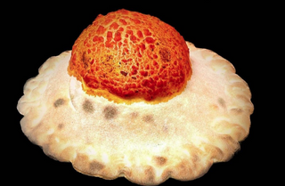 Calzone bum bum normale