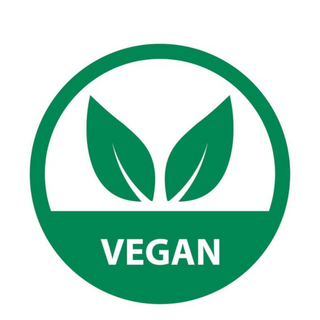 Pizza Vegana (18x25cm)