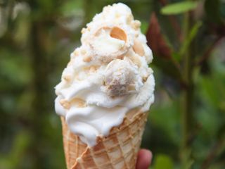 Cialda Artigianale 3 gusti + 1 granella