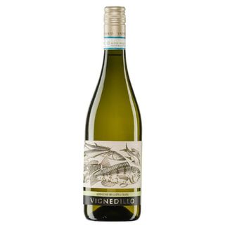 Verdiccio Dei Castelli Di Jesi Doc Vignedileo
