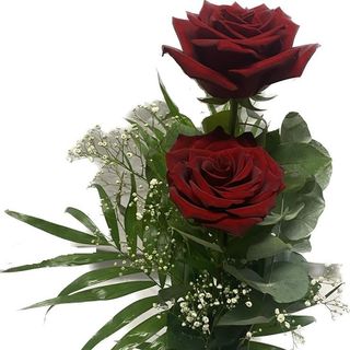 Ramo de 2 rosas rojas