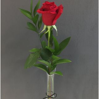 1 rose avec vase vip
