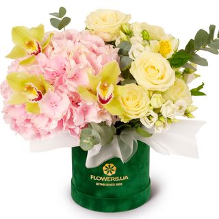 Композиція "Шарм Провансу" 