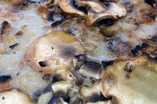 Pizza funghi bianca senza glutine e lattosio