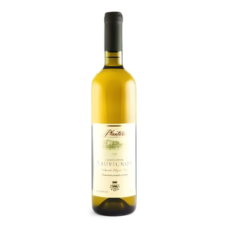 Sauvignon vino
