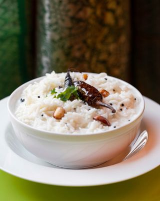 Curd Rice