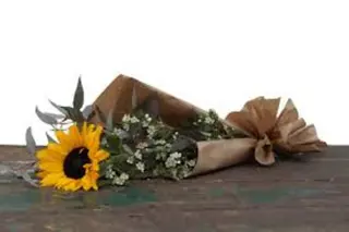1 Girasole