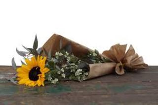 1 Girasole