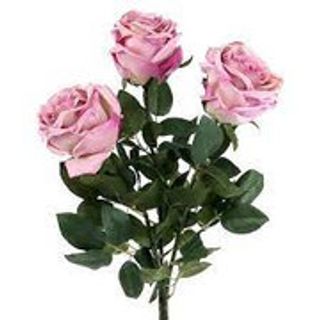3 Rose rosa