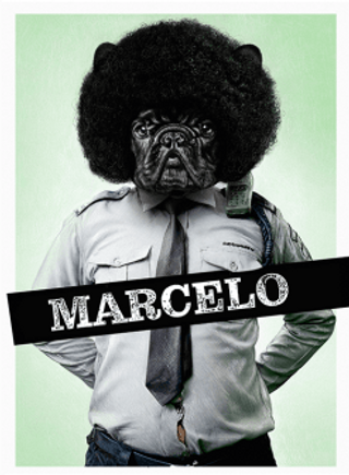 Clandestin Marcelo Black IPA - Bere Artizanala 1L