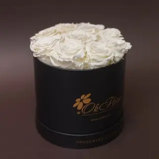 9 trandafiri criogenați albi în cutie de lux mica neagra