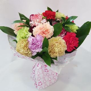 Ramo De Diantus De Colores