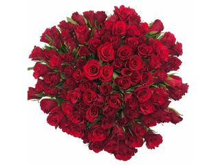 70 rose rosse