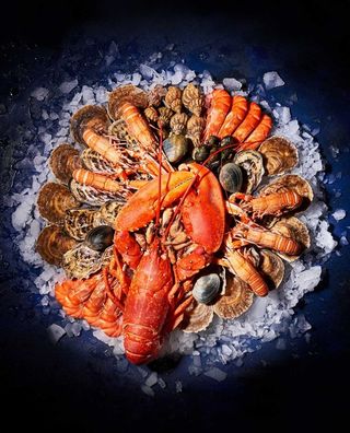 Symphonie Machmoum (2 Pers)