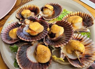 Zamburiñas gratinadas