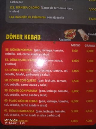 Döner Kebab Normal