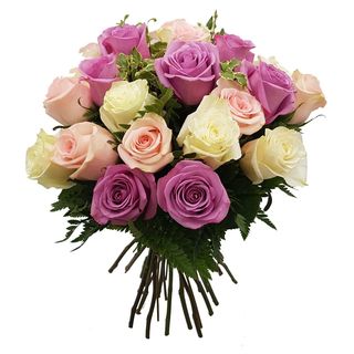 23 trandafiri pastelati in buchet