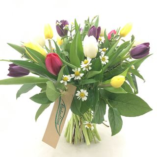 Bouquet de Tulipanes