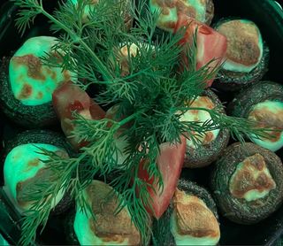 Шампиньоны жаренные с сулугуни