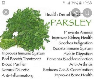 Thornmelon celery mint cucumber juice.