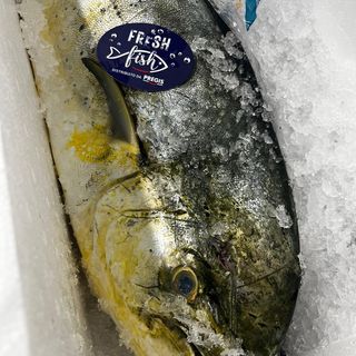 Pesce spada alla griglia con caponata di verdure 