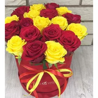 ფერების მიქსი (ბოქსის კომპოზიცია)