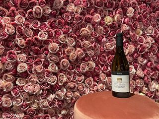 Sauvignon Kellerei Bozen 75 cl