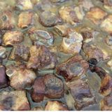 Costilla a la Miel Ración 