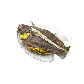Turbot a l'orio