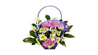 დედის სინაზე