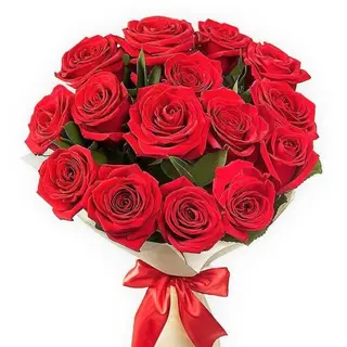 20 Roses rouges
