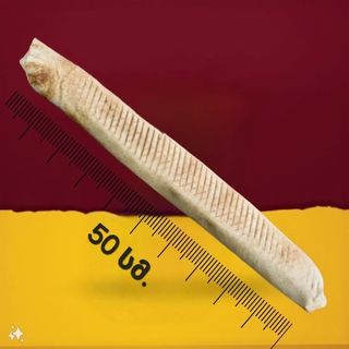 ბაზუკა შაურმა ფრით