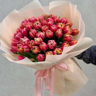 51 тюльпан Колумбус