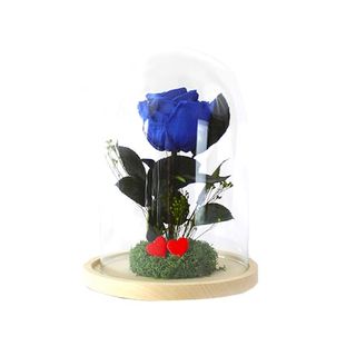 Rosa Eterna Azul En Cúpula