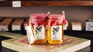 აკაციის (გაზაფხულის) თაფლი 400 გრ