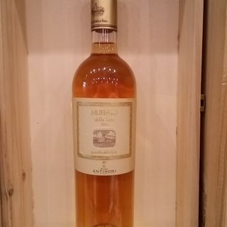 Muffato della Sala 2014