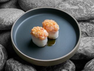 Gunkan biban de mare