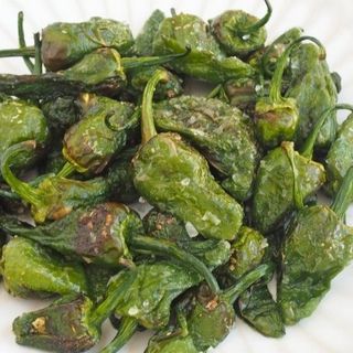 17. Pimiento de padron
