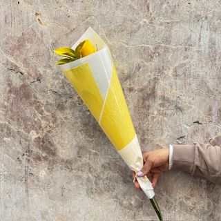 Rosa Amarilla Unidad