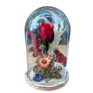 Cúpula Rosa Eterna Roja (25 Cm.)