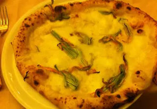 Fiori di zucca