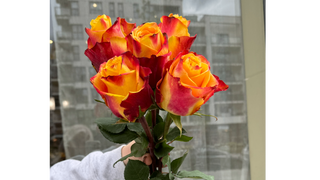 Bukiet Fire Kiss z 5 pomarańczowych róż