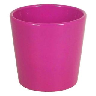 Vaso orchidea fucsia
